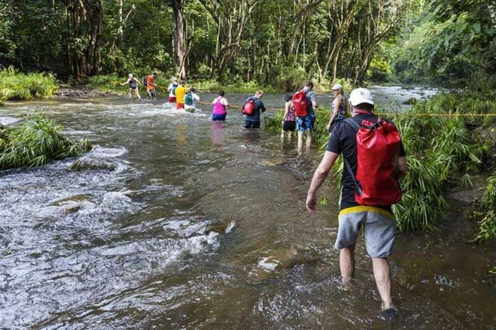 Wailua River Kayak and Sacred Falls Guided Hike with Lunch - Photo 1 of 6